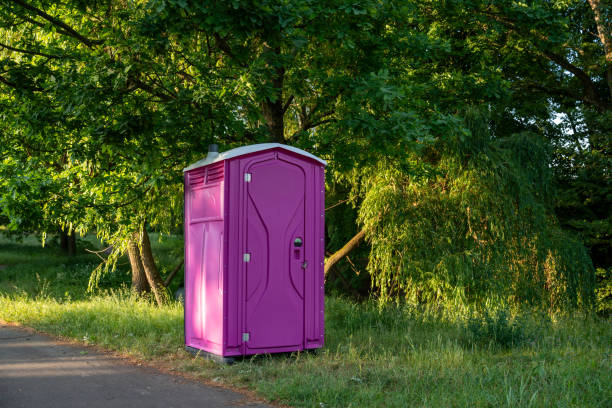 Best Affordable porta potty rental  in Christopher, IL